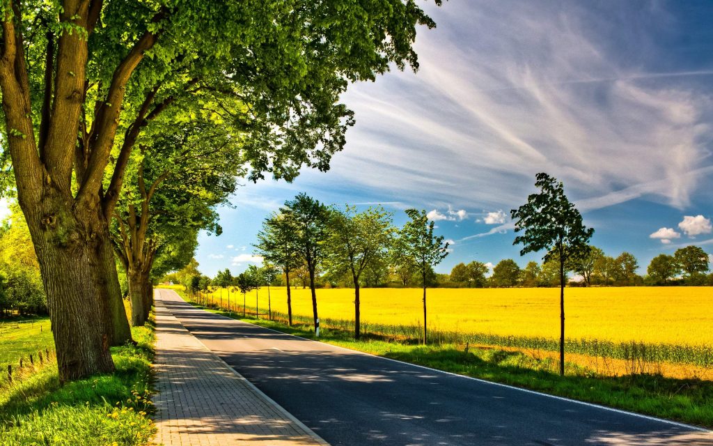 road in Spring